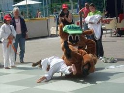Bilder aus 2011